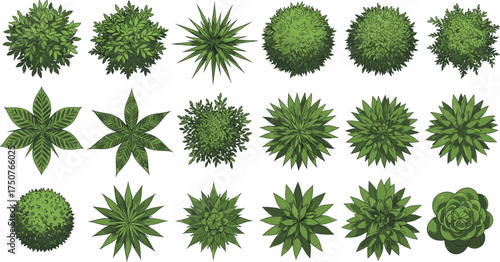 Eighteen top-down views of diverse green plants and succulents, perfect for garden design, landscaping plans, architectural visuals, and nature-themed digital compositions