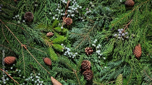 Natural Winter Holiday Decoration – Spinning Evergreen Composition. Rotating top view of pine, fir, and juniper branches with cones and berries. Natural Christmas decor for winter and holiday projects