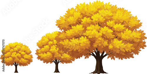 Set of autumn trees with golden yellow foliage, seasonal fall landscape illustration, ideal for nature scenes, outdoor projects, or educational materials.