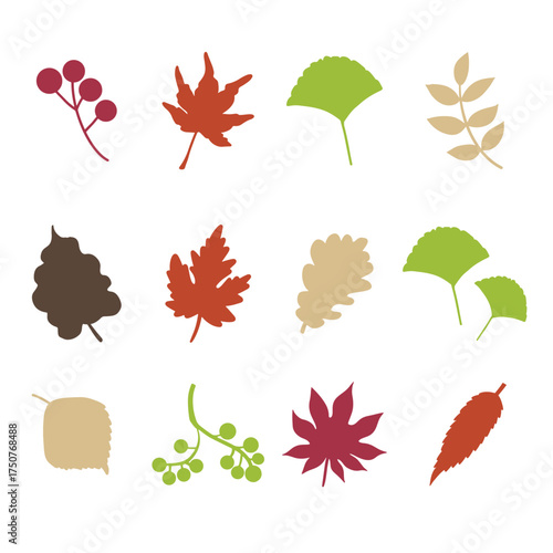 The Autumn Leaf  for thanksgiving or holiday concept.