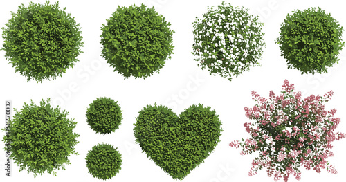 Top view of decorative green bushes and heart-shaped shrubs with flowers, perfect for landscaping, gardening, nature scenes, and outdoor design projects.