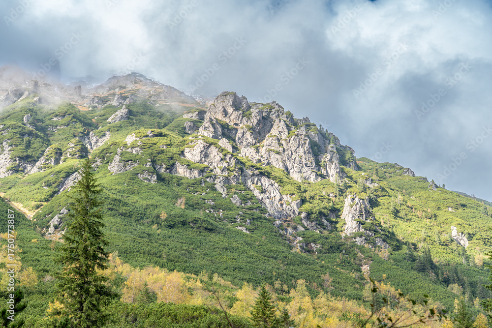 Obraz premium Green Slopes and Rocky Ridge of the Tatra Mountains in Zakopane, Poland