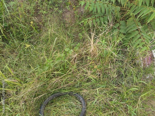 water sprinkler on the grass