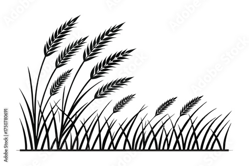 Wheat Field Silhouette – Farming Crop Grass Design for Agriculture and Nature Themes