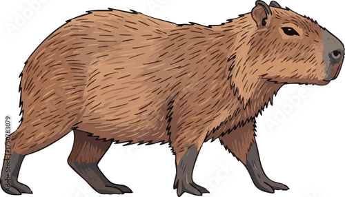 Capybara Walking Detailed Animal Isolated on White Background Vector Illustration