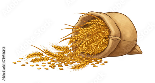 sack of wheats