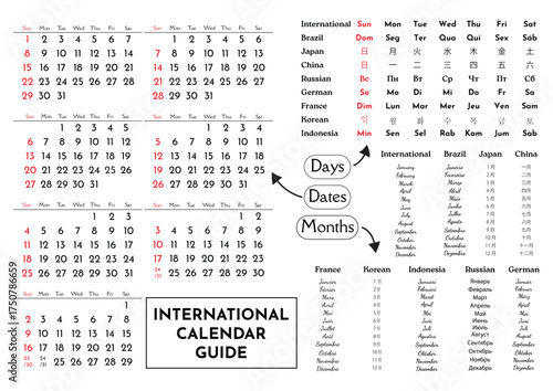 International calendar guide infographic with days, dates, and months in multiple languages, educational world calendar reference chart, multilingual planner template for study and office use