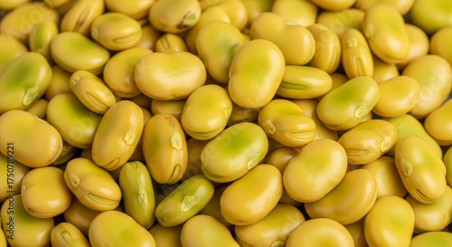 Close-up of fresh lima beans.