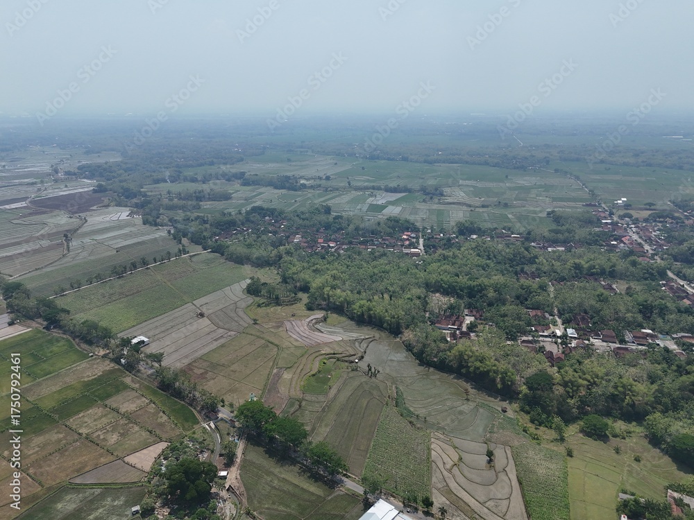 Fototapeta premium aerial view of the city