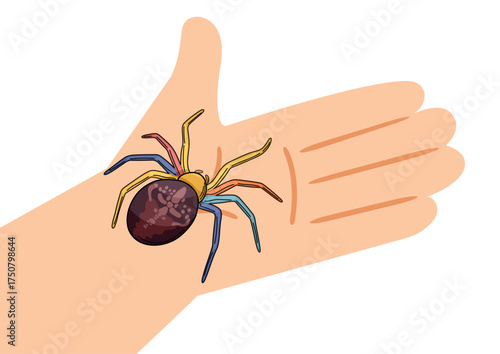 Colorful cross spider on a child's hand. Insect exploration with a little kid. Nature study and discovery illustration.