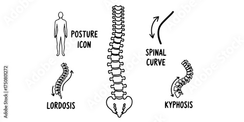 Hand-Drawn Spinal Alignment Doodle Illustration. Vertebrae, Posture Icon, Spinal Curve, Lordosis, Kyphosis. Chiropractic, Health, & Wellness.

