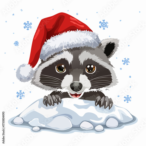 Waschbärjunges im Schnee