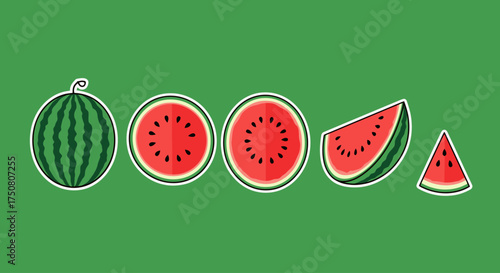 Illustration of watermelon slices and whole fruit on green background