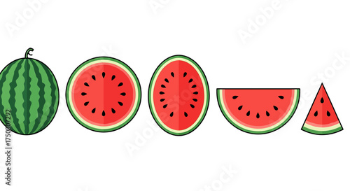 Illustration of various watermelon slices and whole fruit isolated on white background
