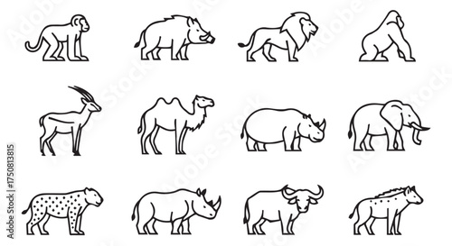 Set of wild animal illustrations isolated on transparent background