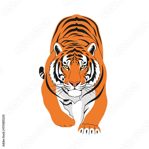 Striking illustration of a powerful tiger with orange and black stripes walking directly towards the viewer on a clean white background.