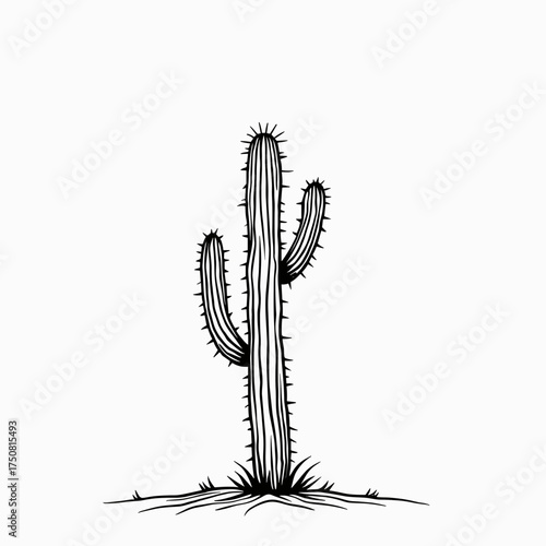 Black and white illustration of a tall cactus with sharp spines  