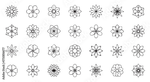 Assortment of simple floral outlines and flower icons isolated on transparent background