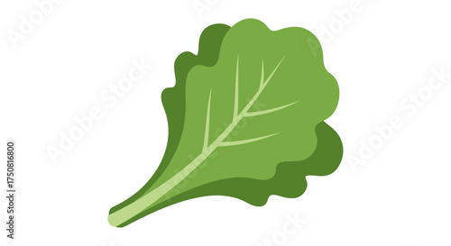 Vibrant green leaf illustration showcasing fresh produce with a simple design and smooth textures