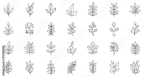 Collection of small decorative botanical leaf elements isolated on transparent background