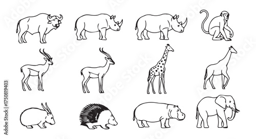 Collection of various wild animals in a simple line drawing style, isolated on transparent background