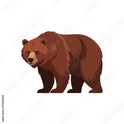 Brown Bear Standing on White Background.