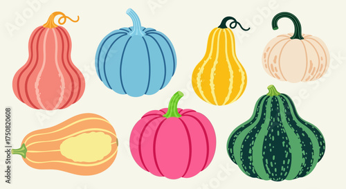 Colorful collection of various pumpkins and decorative gourds. Vector illustration set with autumn vegetables for fall, Halloween, and Thanksgiving