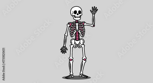 Anatomical cartoon of a friendly human skeleton waving hello, showcasing articulated joints in a stylized vector graphic