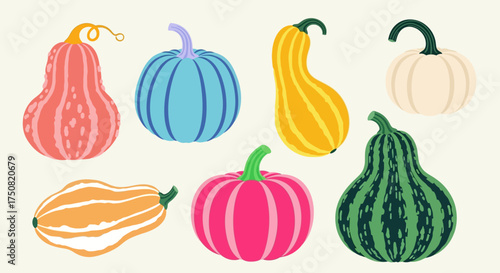 A vibrant and diverse collection of colorful autumn gourds and pumpkins illustrated in a modern flat vector style