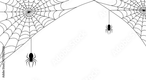 Minimalist black and white vector illustration of two spiders hanging from intricate cobwebs on a clean, isolated background for spooky designs