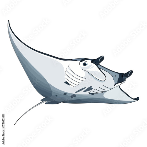 Cartoon Manta Ray Swimming Gracefully Underwater.