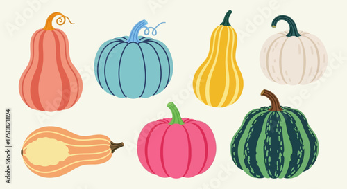 Vibrant collection of stylized autumn pumpkins and gourds. A colorful assortment of squash varieties presented in a modern flat vector illustration style