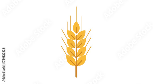 Stylized ear of wheat symbolising agriculture, harvest and organic food production