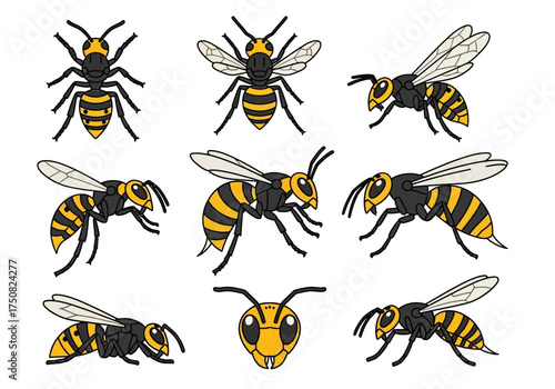 Set of various yellow jacket, hornet, and wasp cartoon illustrations in different poses. Isolated vector pack.

