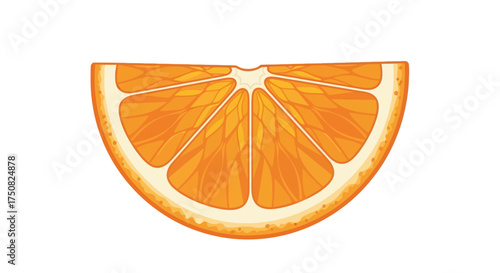 Closeup of a vibrant orange slice with detailed segments and rind.