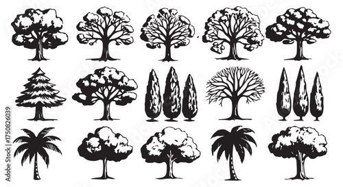 Collection of diverse tree illustrations, including deciduous, coniferous, and palm trees isolated on transparent background