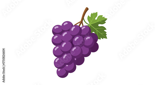 A Bunch of Ripe Purple Grapes with a Green Leaf.