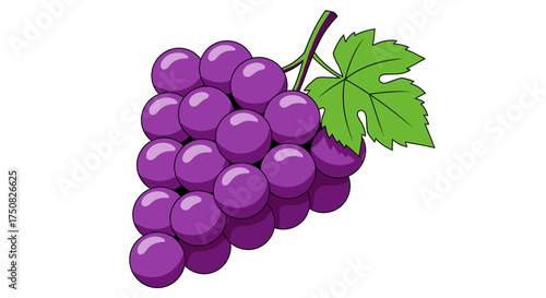 A Bunch of Ripe Purple Grapes with a Green Leaf 1.