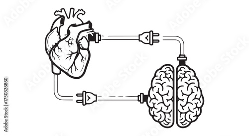 Anatomical heart connected to a brain with electrical plugs, isolated on transparent background