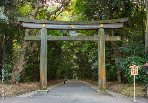 Photography Torii gate leading to Meiji Shinto shrine in Shibuya, Tokyo, Japan