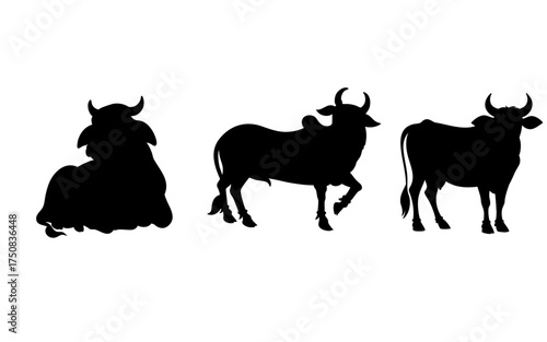 Set of Cow Silhouettes on White Background