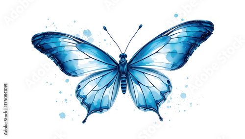Elegant hand-drawn digital watercolor illustration of a blue butterfly with soft gradients and subtle brush textures, ideal for decorative prints or stationery