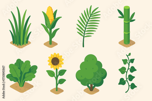 Lush Summer Icons. Summer Growth set icons in flat vector style tall grass, corn stalk, palm frond, bamboo shoot, leafy vegetable patch, sunflower stalk, green shrub, ivy climbing