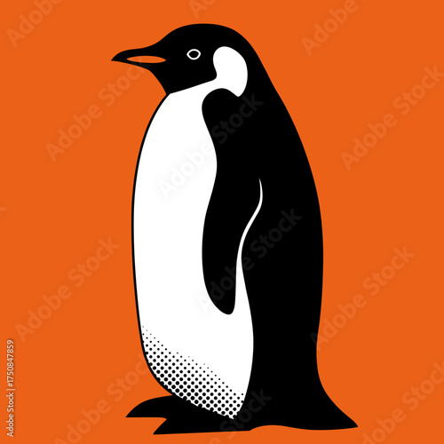 Standing penguin with white chest on orange background for winter design