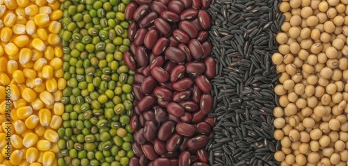 Colorful legumes and grains create vibrant texture for healthy eating concepts
