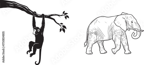 Monochrome Wildlife Illustrations: Monkey and Elephant Vector Art