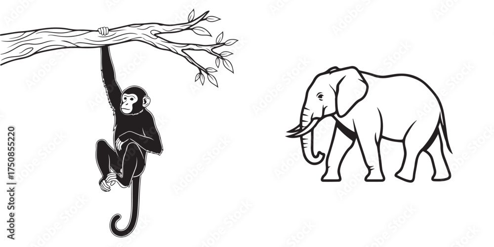 Obraz premium Black and White Vector Illustration of Hanging Monkey and Walking Elephant