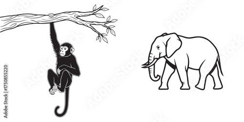 Black and White Vector Illustration of Hanging Monkey and Walking Elephant