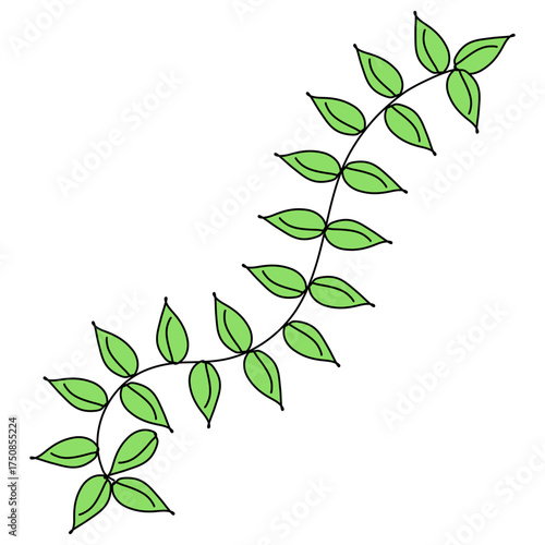 green leaves on white background