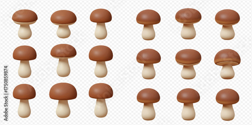 A collection of brown mushrooms with white stems arranged in rows on a white background.